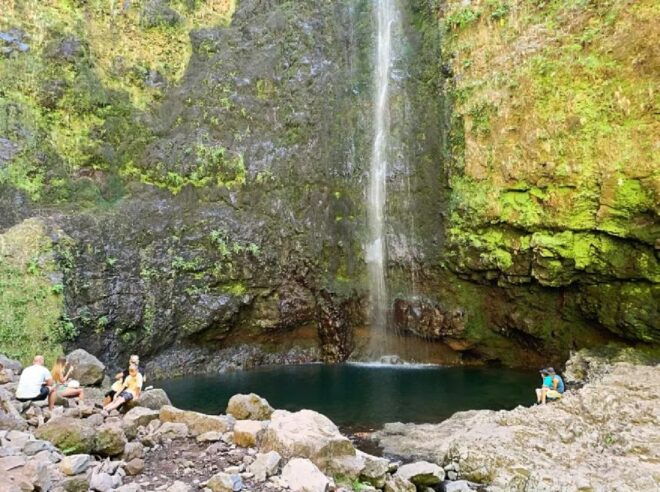 Caldeirão Verde Levada: Roundtrip Transfer & Hike - Full Hike Description