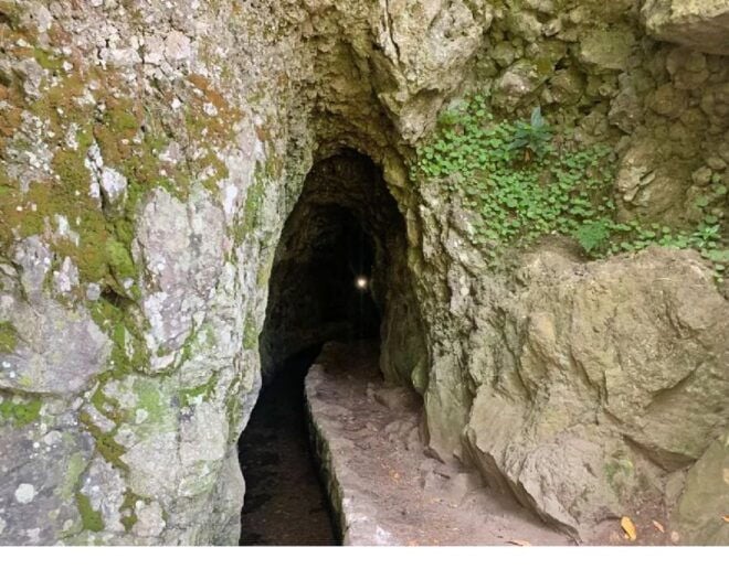 Caldeirão Verde Levada: Roundtrip Transfer & Hike - Review Summary