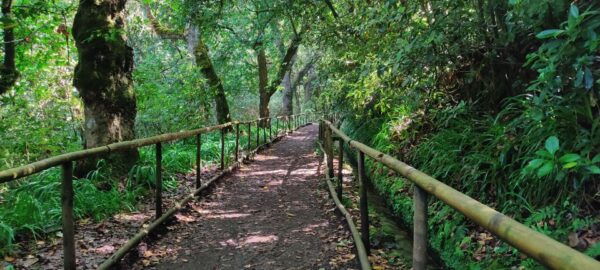 Caldeirão Verde Levada: Roundtrip Transfer & Hike - Directions