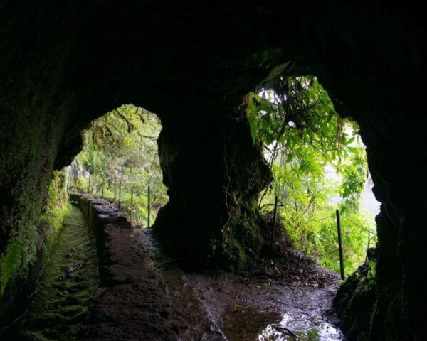 Caldeirão Verde Levada: Roundtrip Transfer & Hike - Common Questions