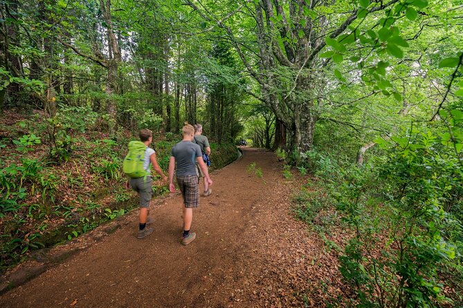 Caldeirão Verde Levadas Walk in Madeira - Overview of Caldeirão Verde Levadas Walk