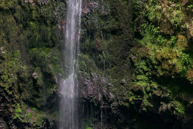 Caldeirão Verde Levadas Walk in Madeira - Traveler Experiences
