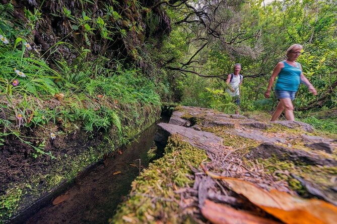 Caldeirão Verde Levadas Walk in Madeira - Mixed Experiences