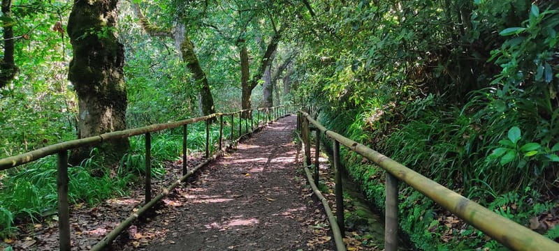Caldeirão Verde: Queimadas PR9 Transfer and Self-Guided Hike - Who Will Love This Experience?
