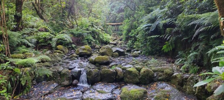 Caldeirão Verde: Queimadas PR9 Transfer and Self-Guided Hike - In The Sum Up
