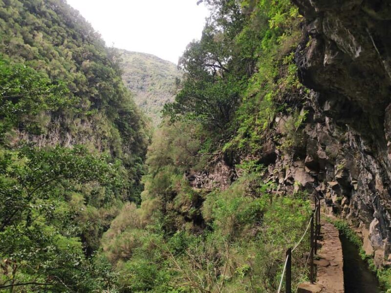 Caldeirão Verde: Queimadas PR9 Transfer Hike - Authenticity and Tips from Reviewers