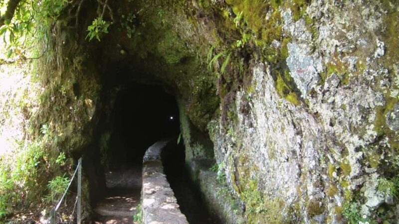 Caldeirão Verde: Queimadas PR9 Transfer Hike - Is This Tour Right for You?