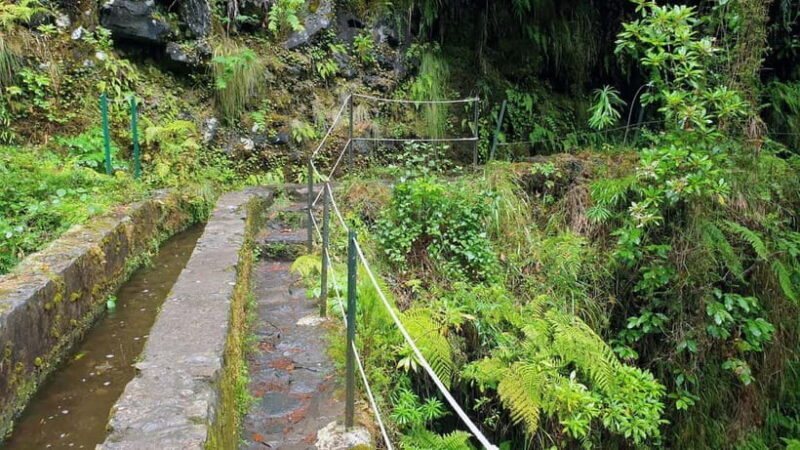 Caldeirão Verde: Queimadas PR9 Transfer Hike - Final Thoughts: Who Will Love This?