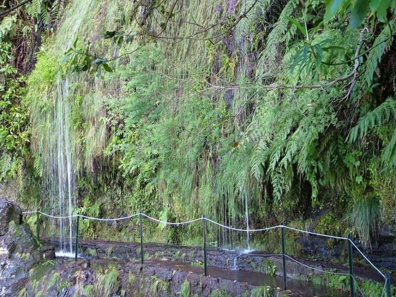 Caldeirão Verde: Queimadas PR9 Transfer Hike - FAQs