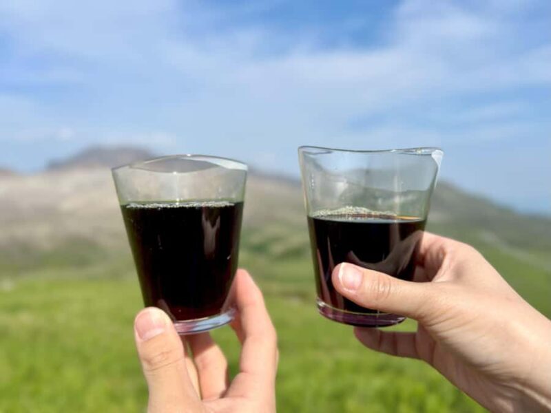 Caldera Trekking Tour with Coffeein Aso Nakadake Takadake) - The Sum Up: Who Should Consider This Tour?