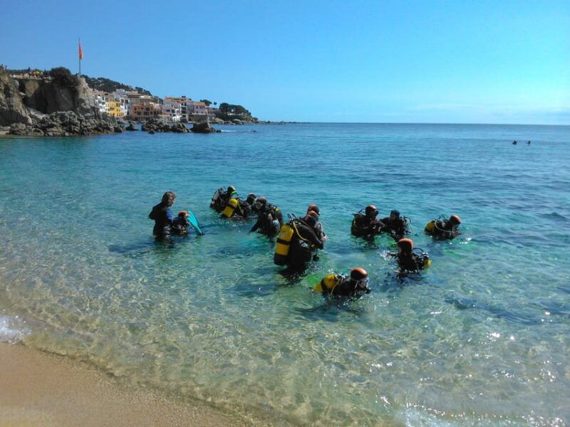 Calella De Palafrugell : Discover Scuba Diving Experience - Diving Experience Highlights