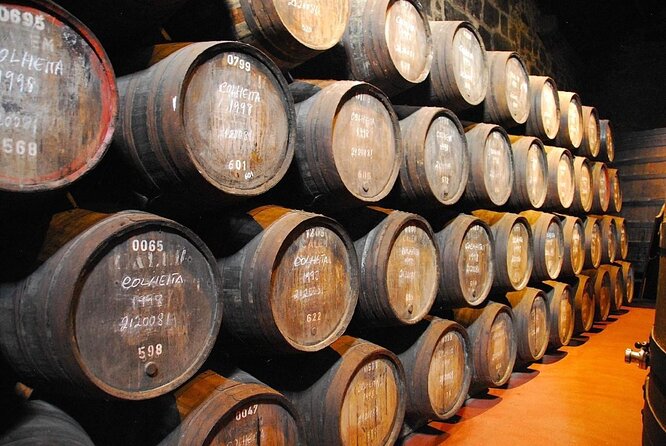 Cálem Cellars: Visit And Wine Tasting Tour - Overview and Tour Experience