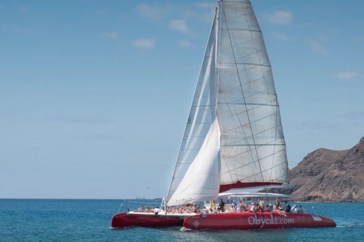 Caleta De Fuste: Catamaran Sailing Experience - Activity Details