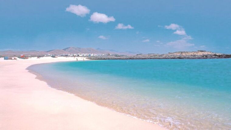 Caleta De Fuste/Corralejo: Guided E-Bike Tour & Crater Hike - Customer Reviews and Feedback