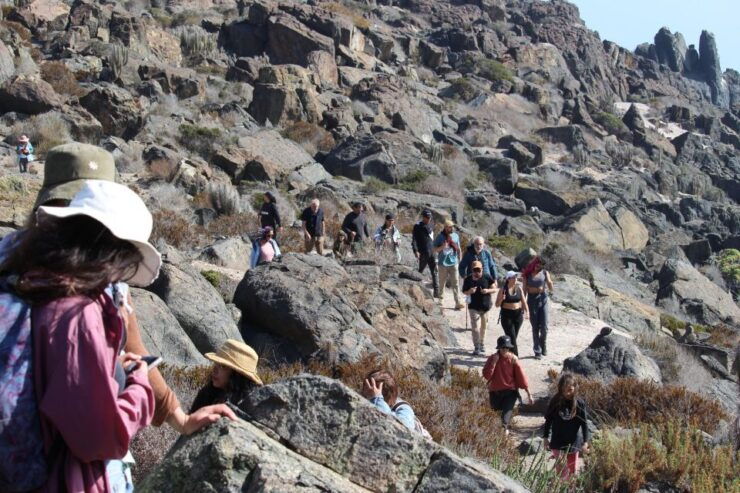Caleta Los Hornos: Hiking Archaeological Sites - Activity Details