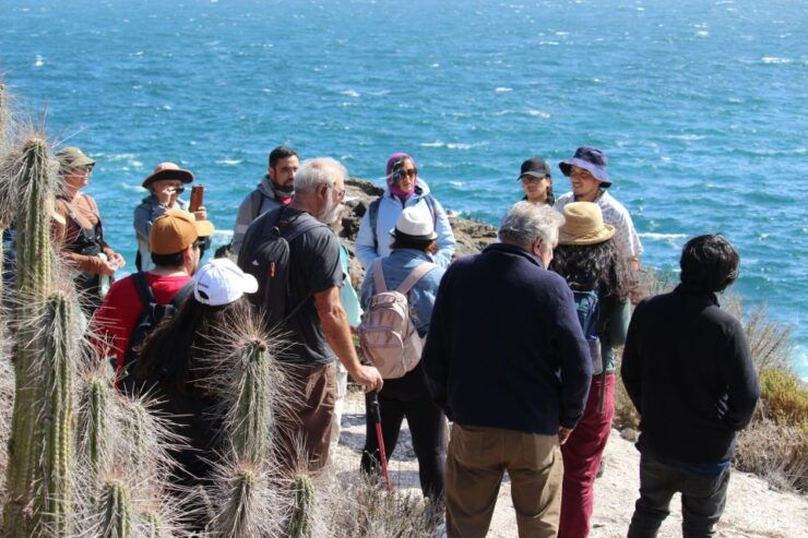 Caleta Los Hornos: Hiking Archaeological Sites - Experience Highlights