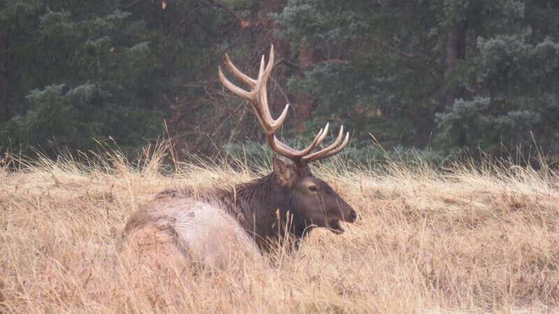 Calgary: 2-Day Banff National Park Highlights Summer Tour - Final Thoughts
