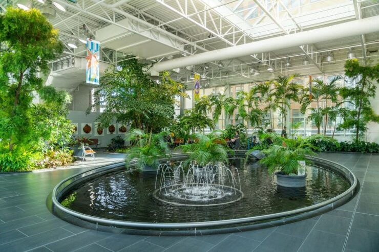 Calgary: 3-hour Tips-Based City Walking Tour - Tour Overview