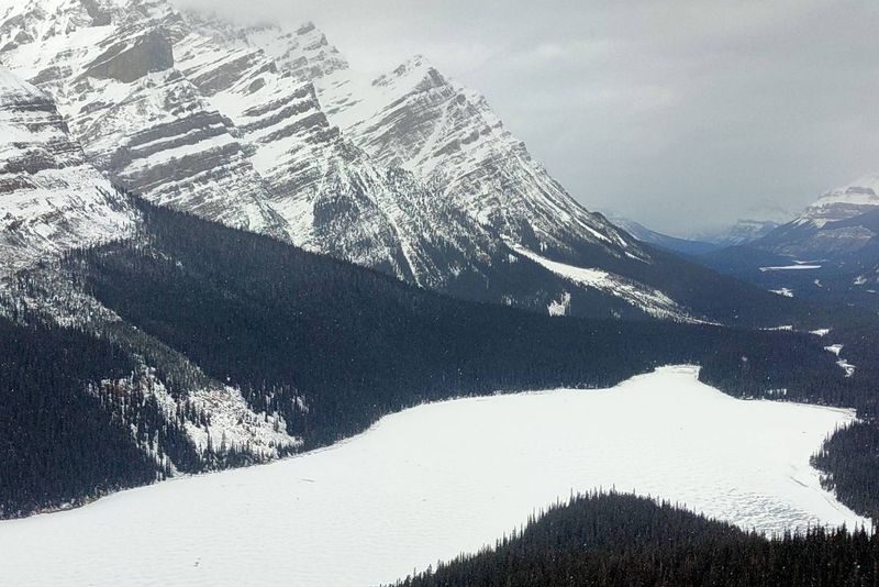 Calgary Abraham Lake & Peyto Lake Half-Day Small Group Tour - Peyto Lake brings a different view