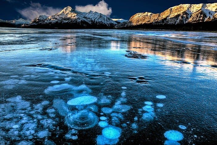 Calgary Abraham Lake & Peyto Lake Half-Day Small Group Tour - Is $175.99 good value?