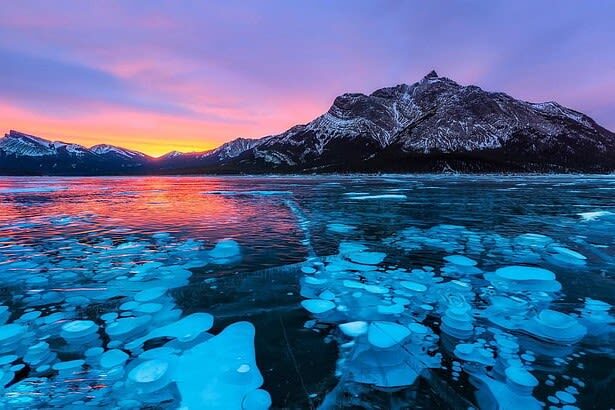 Calgary Abraham Lake & Peyto Lake Half-Day Small Group Tour - Guide style and the feel of the day