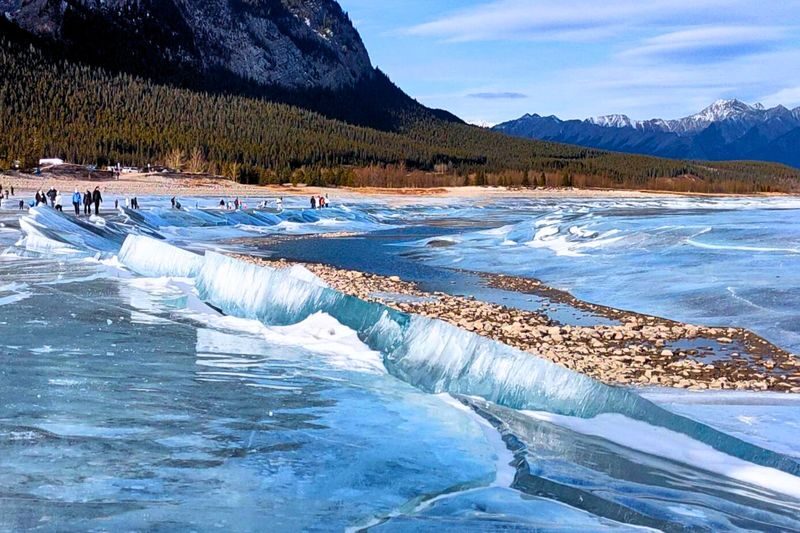 Calgary Abraham Lake & Peyto Lake Half-Day Small Group Tour - Practical details to check before booking