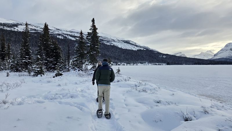 Calgary Athabasca Falls & Peyto Lake Full-Day Tour - Peyto Lake’s brief, bright pause