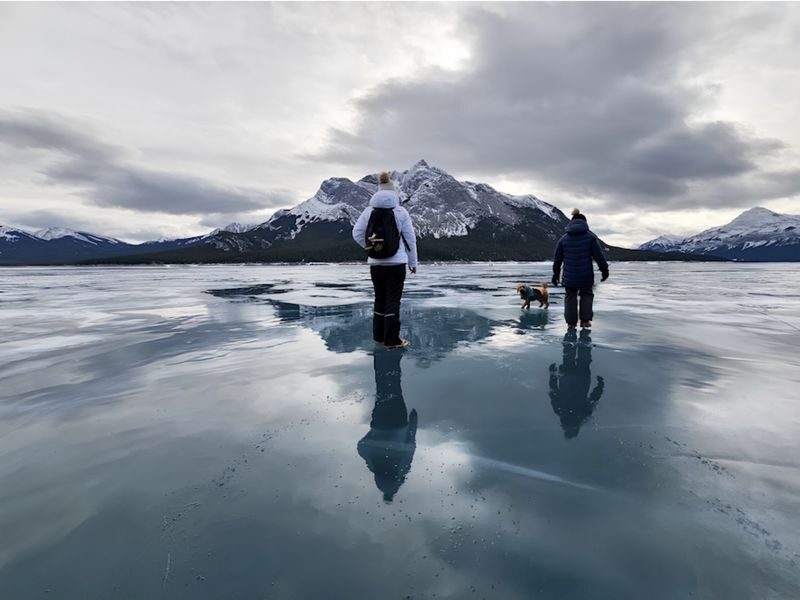 Calgary Athabasca Falls & Peyto Lake Full-Day Tour - What the guide adds to the day