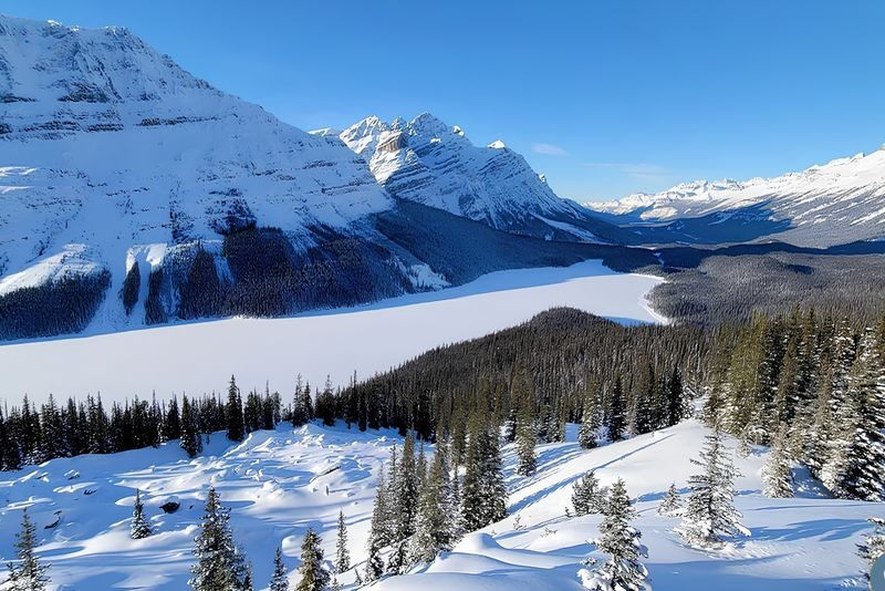 Calgary Athabasca Falls & Peyto Lake Full-Day Tour - Pickup times, clothing and a few cautions