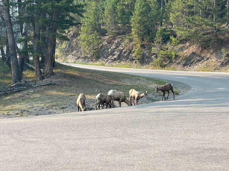 Calgary/Banff: Full-Day Private Banff National Park Tour - The Value of a Private, Flexible Experience