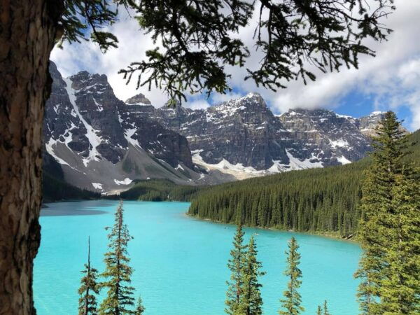 Calgary/Banff: Lake Louise, Moraine & Johnston Canyon Trip - Highlights and Experience