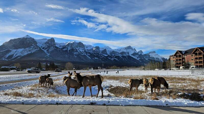 Calgary: Canmore, Banff, Lake Louise - Gondola Included - Who Would Love This Tour?