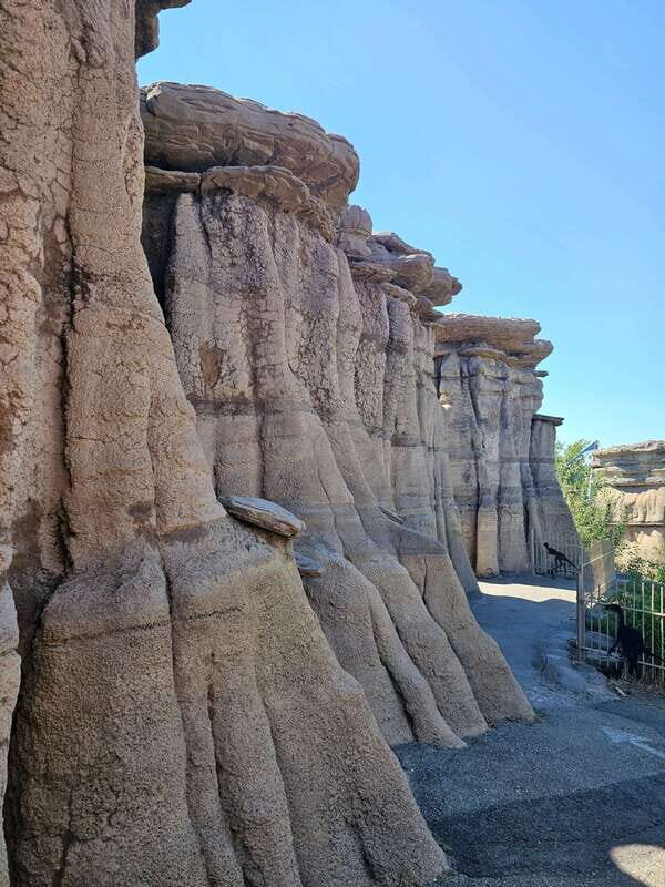 Calgary City Tour & Yamnuska Wolfdog Sanctuary Private Tour - Final Thoughts: Why Choose This Tour?