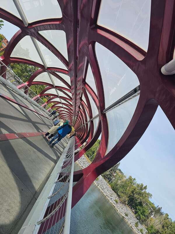 Calgary City Tour & Yamnuska Wolfdog Sanctuary Private Tour - FAQ