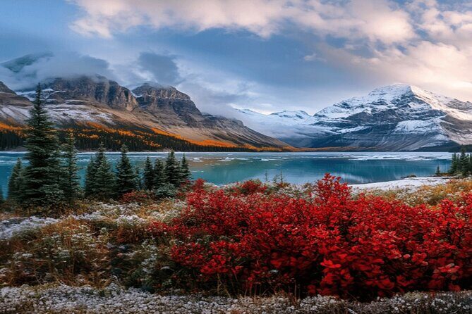 Calgary: Columbia Icefield Adventure, Skywalk and Peyto Lake Tour - The Sum Up