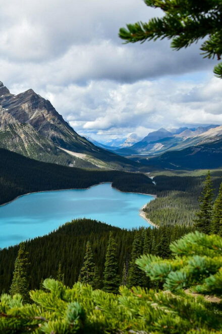 Calgary: Columbia Icefield, Glacier, Bow & Peyto Lakes Tour - Exploring the Columbia Icefield