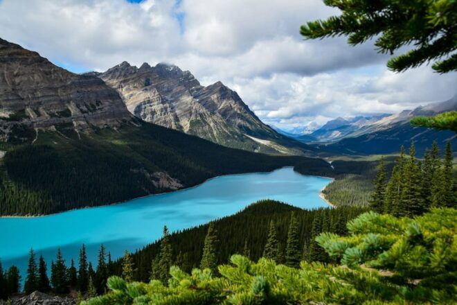 Calgary: Columbia Icefield, Glacier, Bow & Peyto Lakes Tour - Admiring Peyto and Bow Lakes