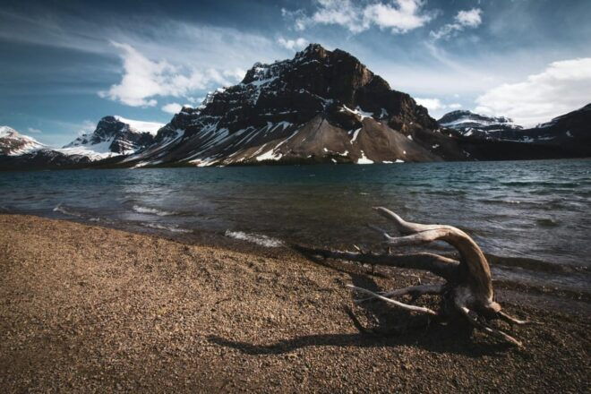 Calgary: Columbia Icefield, Glacier, Bow & Peyto Lakes Tour - Inclusions and Pricing