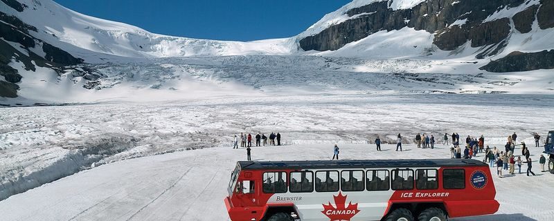 Calgary Columbia Icefield & Peyto Lake Full-Day Adventure - What the Columbia Icefield stop includes, and what it may not