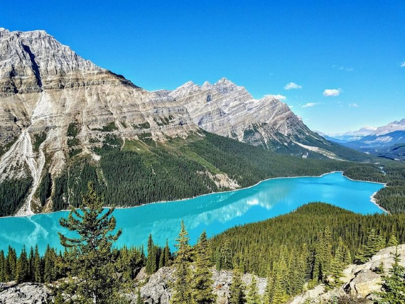 Calgary Columbia Icefield & Peyto Lake Full-Day Adventure - What the guide adds to a long drive