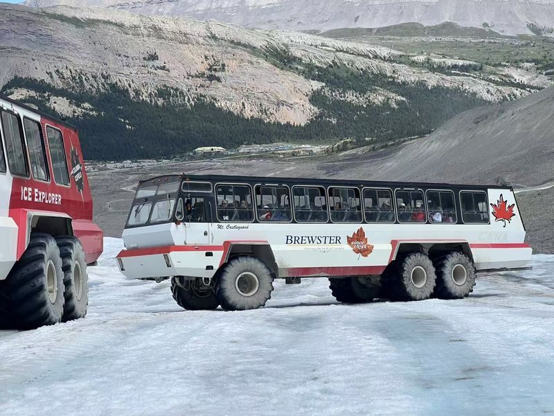 Calgary Columbia Icefield & Peyto Lake Full-Day Adventure - Is $119.60 good value?