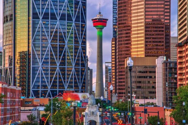 Calgary: Scenic Small Group Evening Tour - Pickup and Drop-off