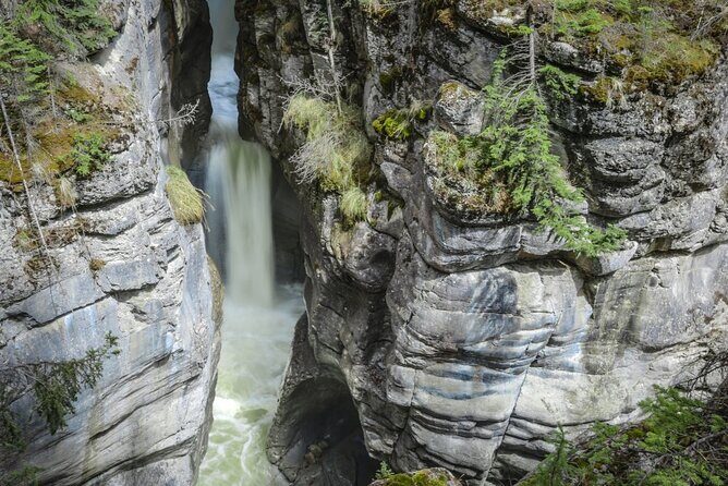 Calgary to Banff & Jasper 3-Day Tour - Good To Know