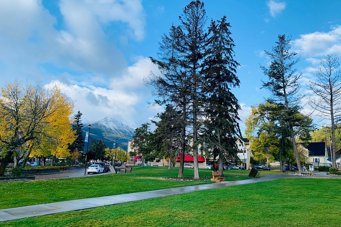 Calgary to Banff Private Shuttle - Reviews