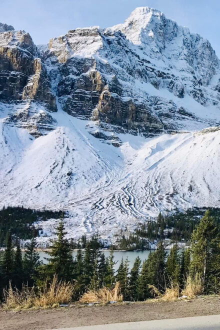 Calgary to Canmore/Banff (Shared Shuttle/Bus) - Customer Feedback