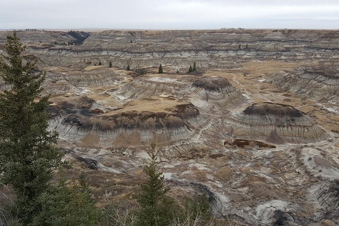 Calgary to Royal Tyrrell Museum Drumheller – PRIVATE TOUR - Traveler Reviews and Future Visits