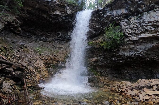 Calgary to the Rocky Mountains Private Day Tour - Who Would Enjoy This Tour?