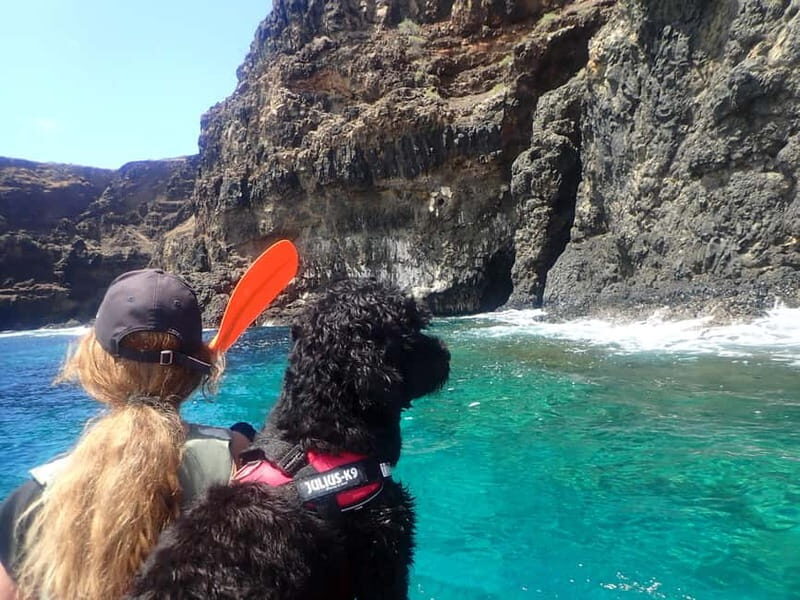 Calheta Kayak Tour - The Sum Up: Who Will Love This Experience