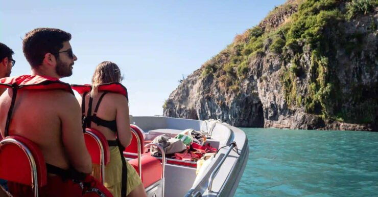 Calheta Madeira: Whale and Dolphin Watching Speed Boat Tour - Activity Details and Options