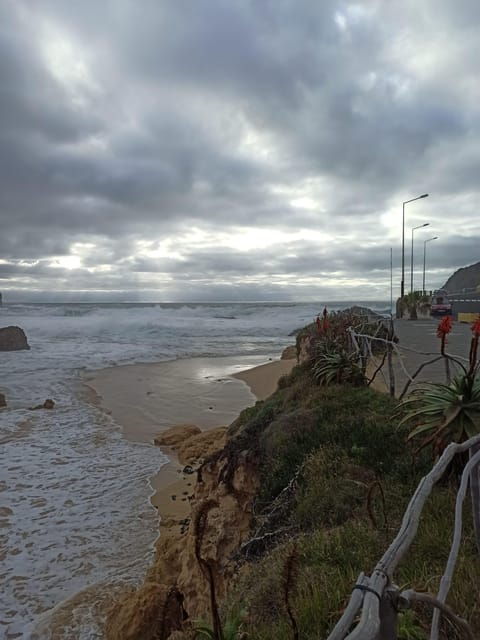 Calheta: Southwest Coastline Van tour - Good To Know